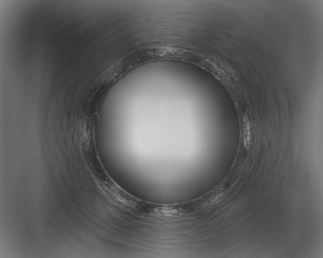 X0000082930607200702152149