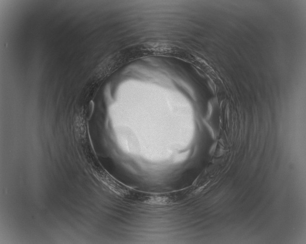 X0000082930609200702152149