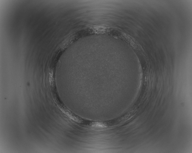 X0000082930610200702152149