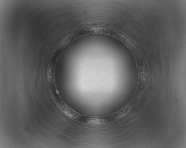 X0000082930611200702152149