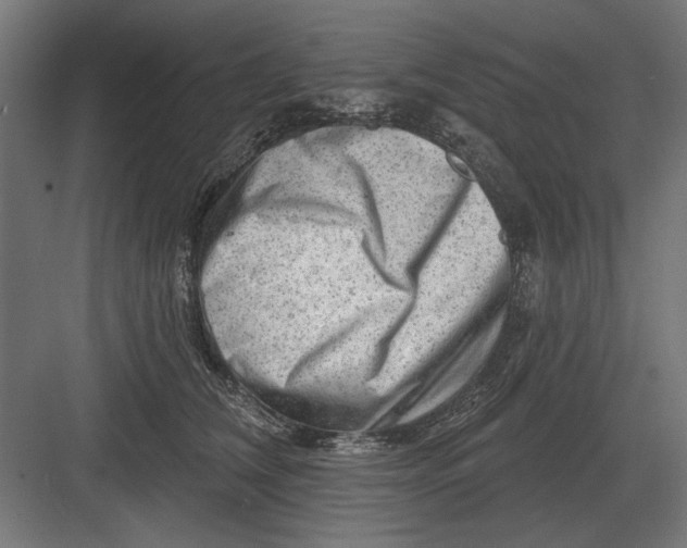 X0000082930612200702152149