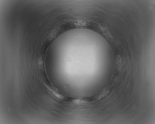 X0000082930614200702152149