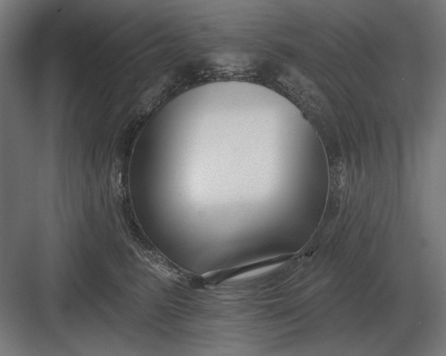 X0000082930615200702152149