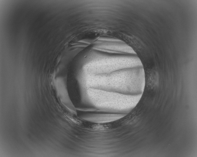 X0000082930616200702152149