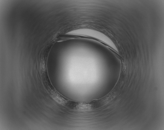 X0000082930617200702152149