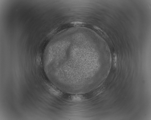 X0000082930618200702152149