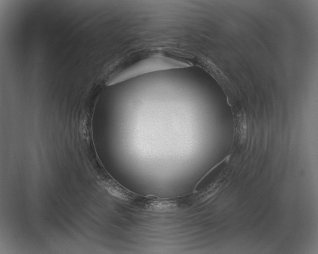 X0000082930619200702152149