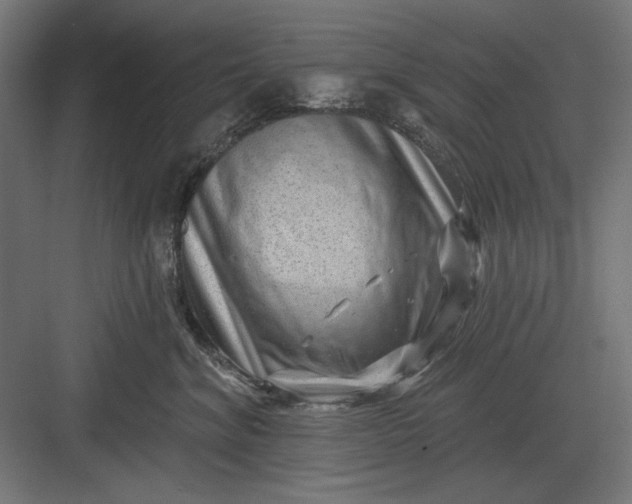 X0000082930620200702152149