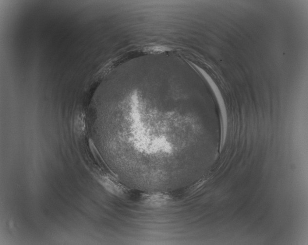 X0000082930621200702152149