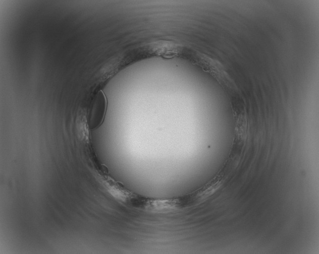 X0000082930622200702152149