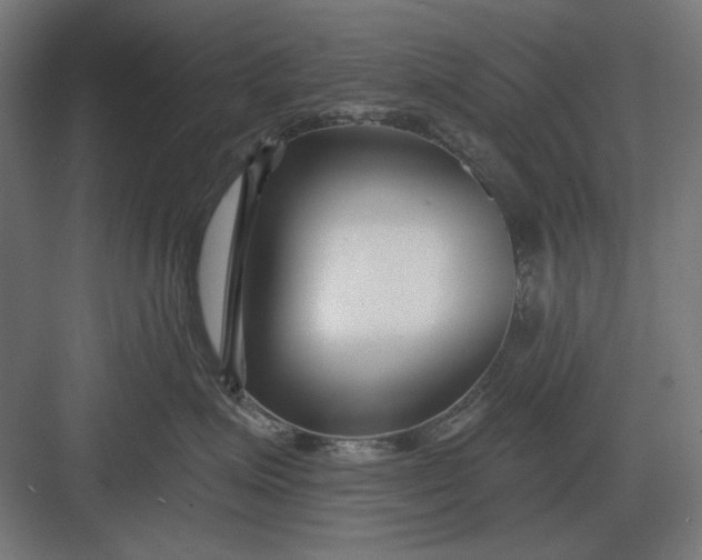 X0000082930623200702152149