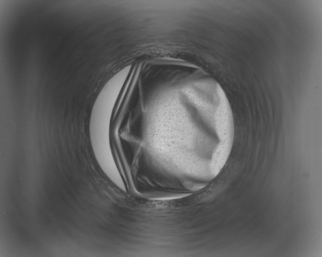 X0000082930624200702152149