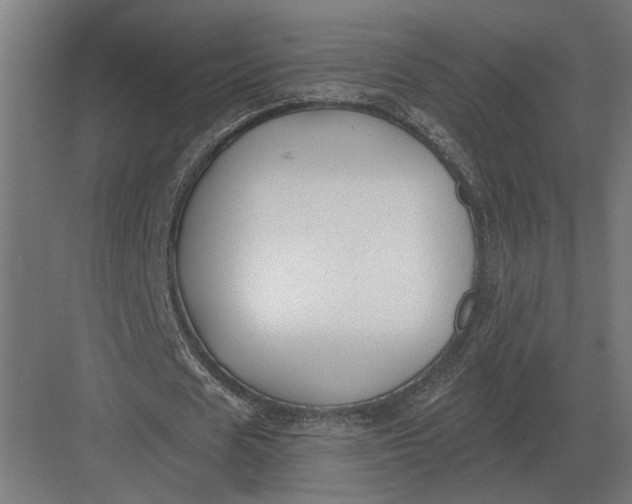 X0000082930625200702152148