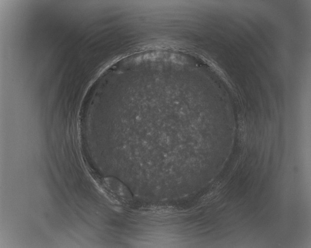 X0000082930626200702152148