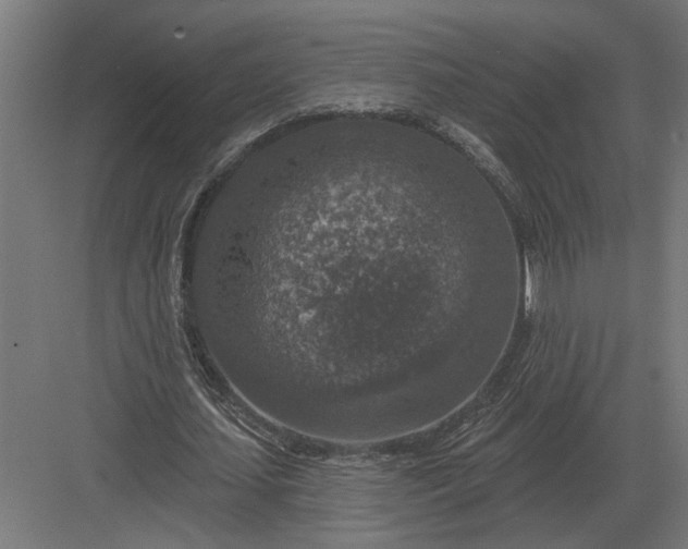 X0000082930627200702152148