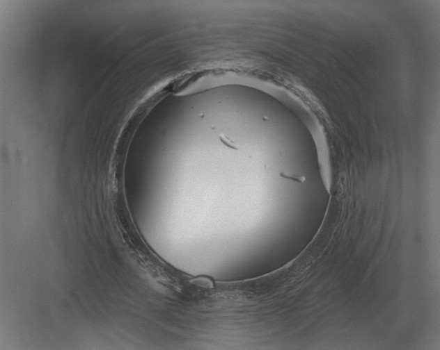 X0000082930628200702152148