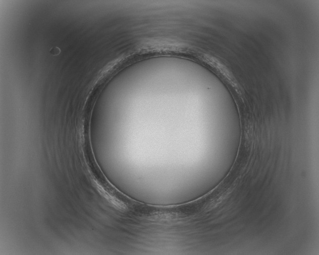 X0000082930629200702152148