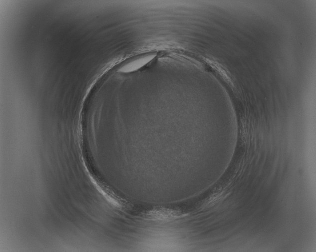 X0000082930630200702152148