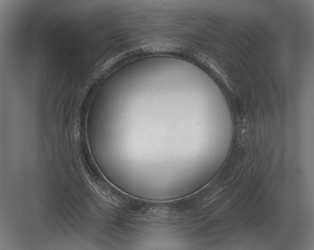 X0000082930631200702152148