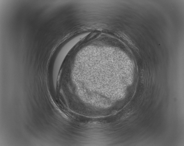 X0000082930634200702152148