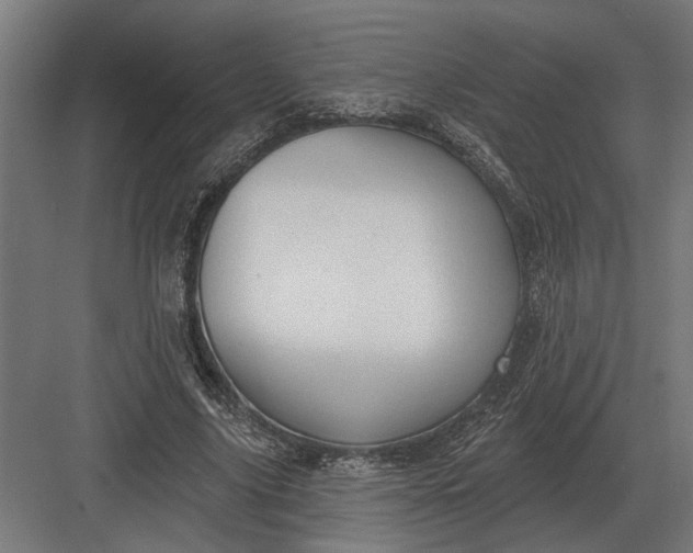 X0000082930635200702152148