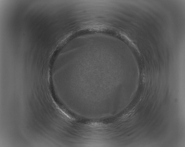 X0000082930637200702152148