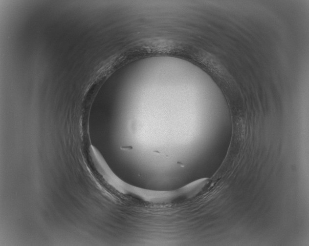 X0000082930638200702152148