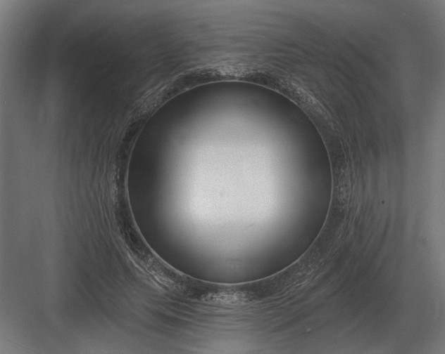 X0000082930639200702152148