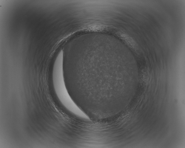 X0000082930640200702152148