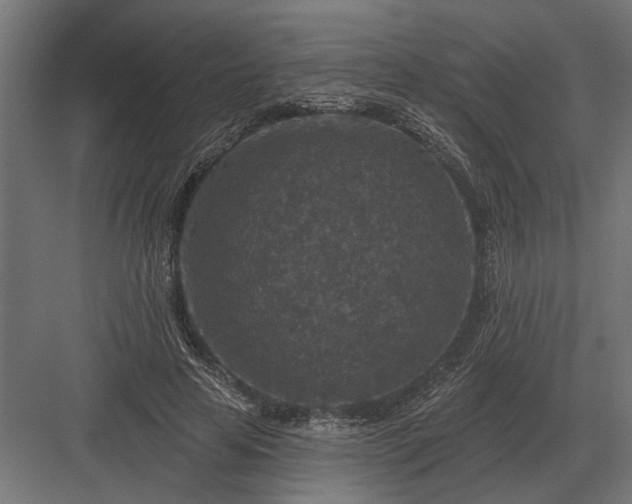 X0000082930641200702152148