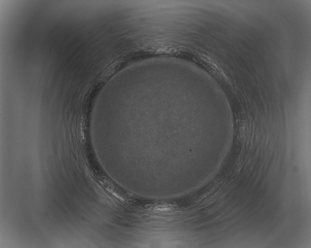 X0000082930643200702152148