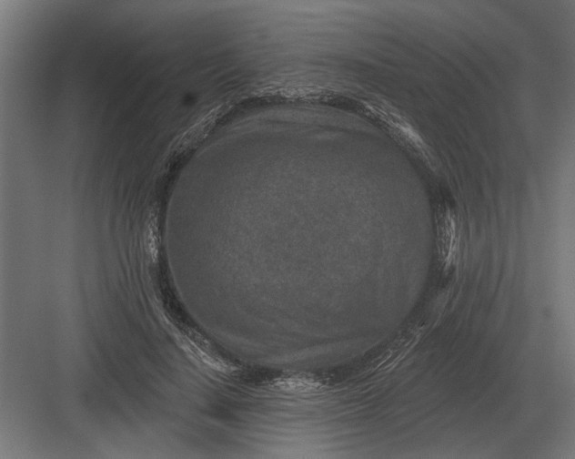 X0000082930644200702152148