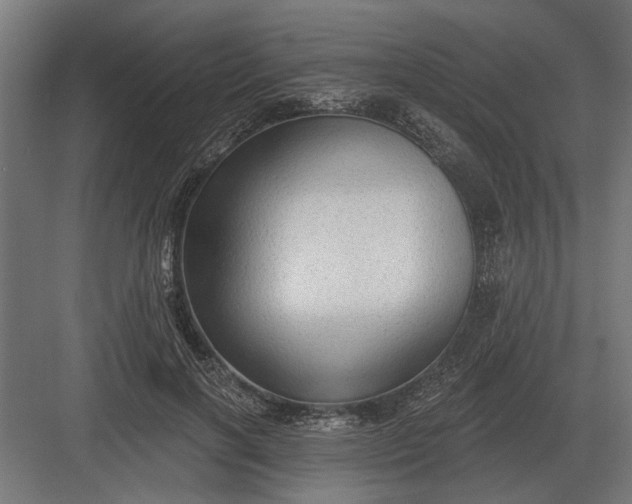 X0000082930646200702152148