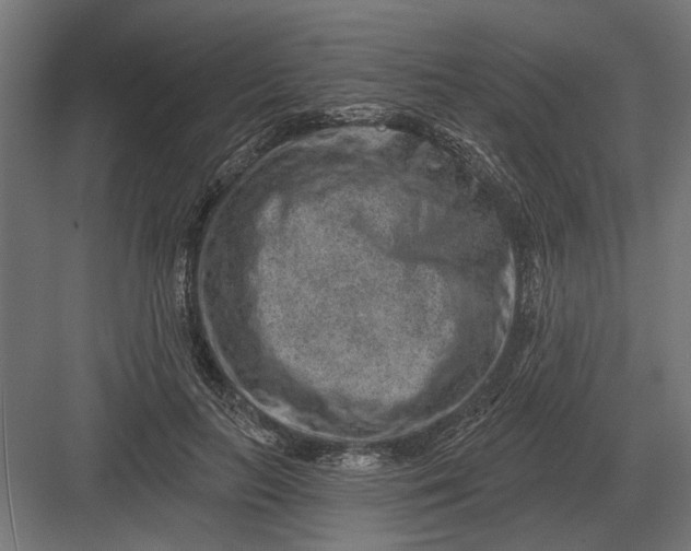 X0000082930647200702152148