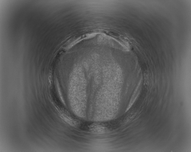 X0000082930648200702152148