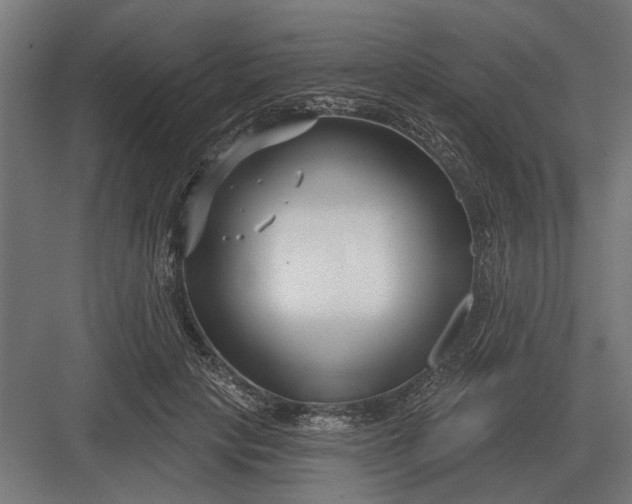 X0000082930649200702152148