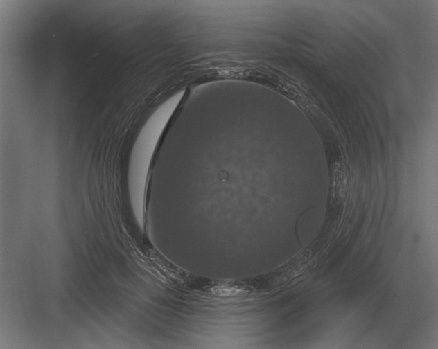 X0000082930650200702152148