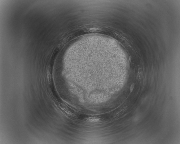 X0000082930651200702152148