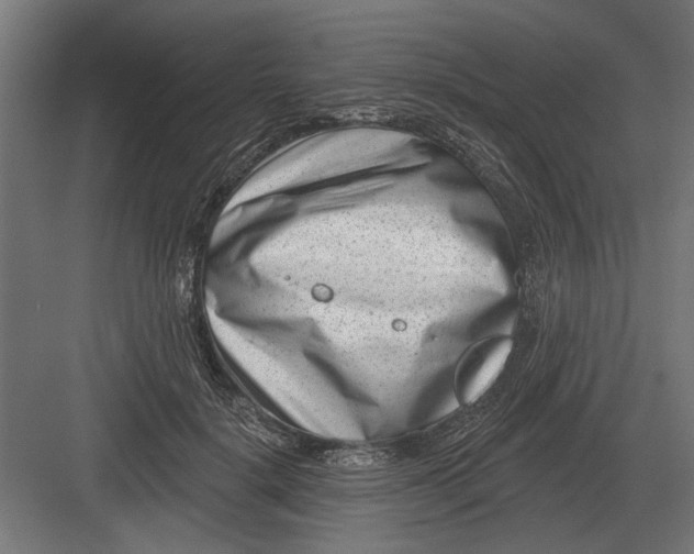 X0000082930652200702152148