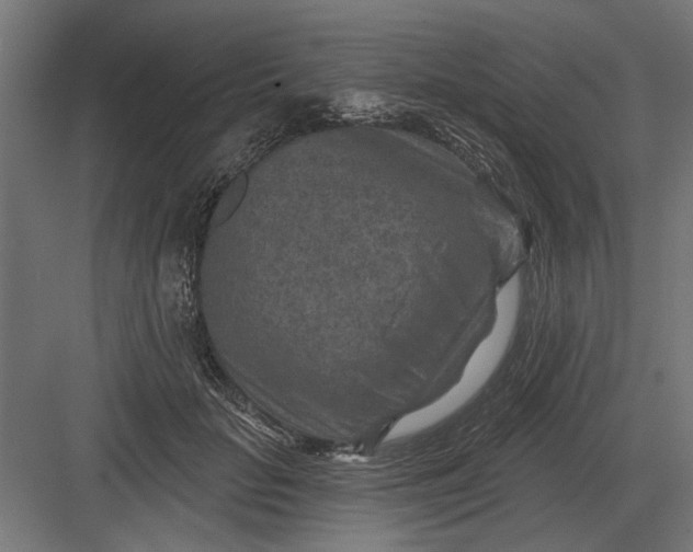 X0000082930653200702152148