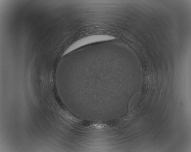 X0000082930654200702152148