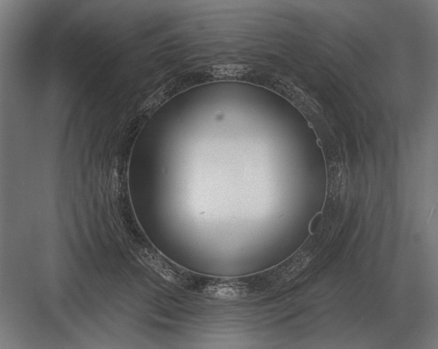 X0000082930655200702152149