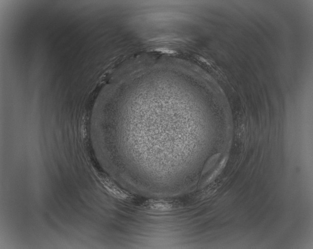 X0000082930658200702152149