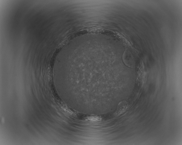 X0000082930659200702152149