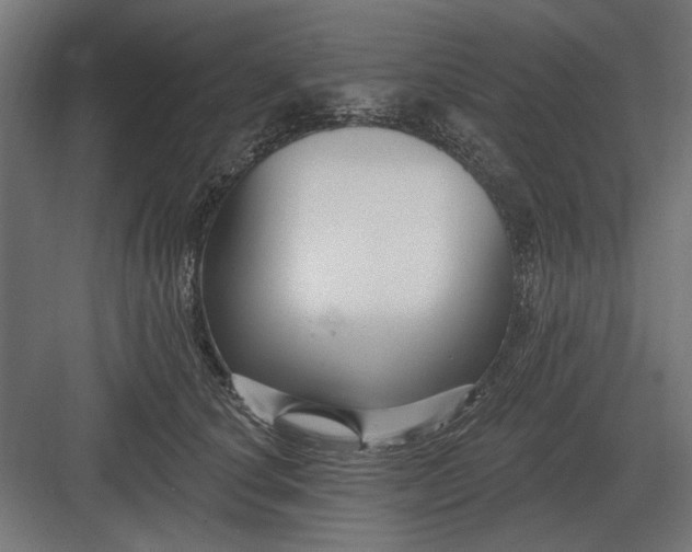 X0000082930660200702152149