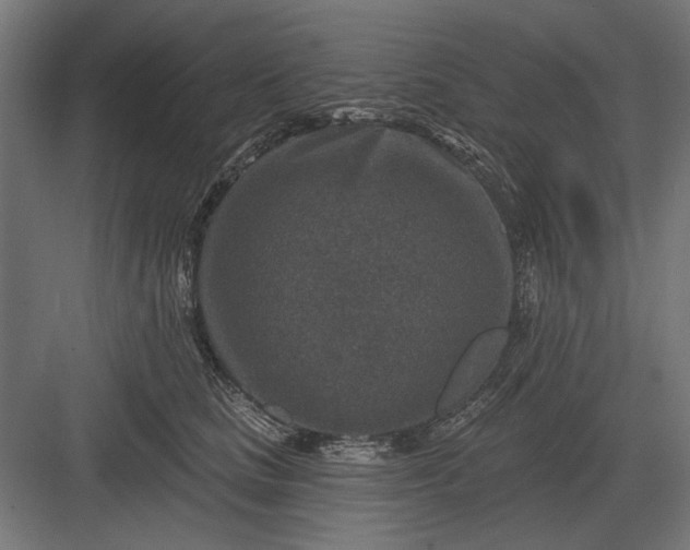 X0000082930661200702152149