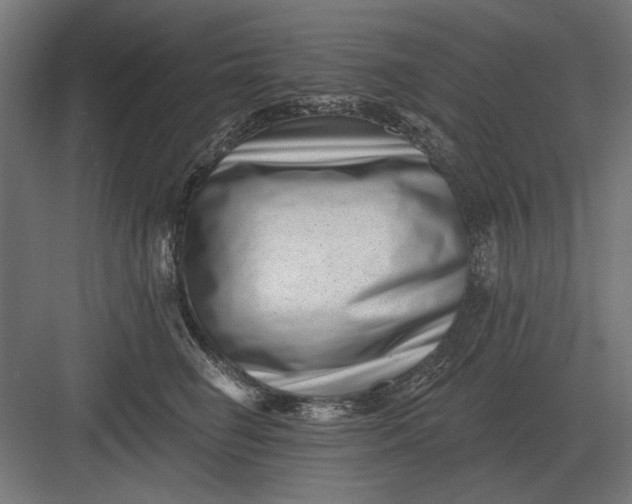 X0000082930662200702152149