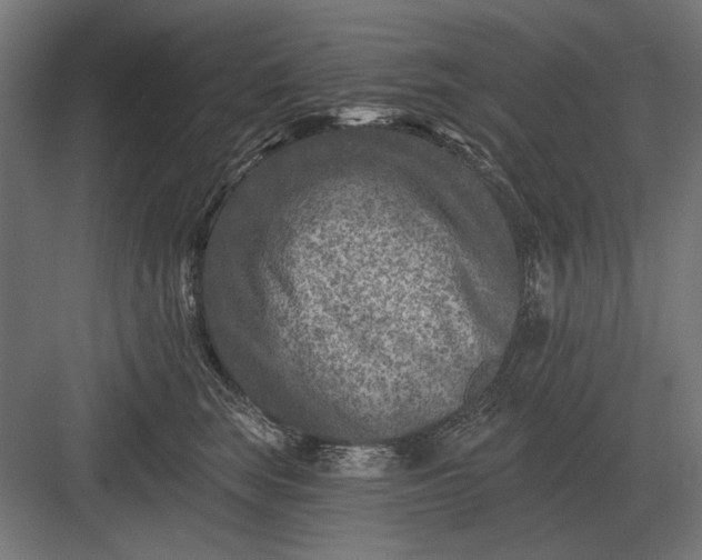 X0000082930663200702152149