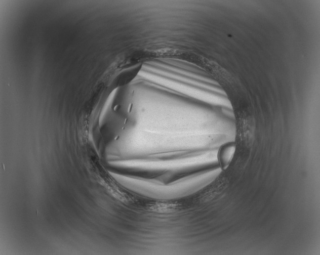 X0000082930664200702152149