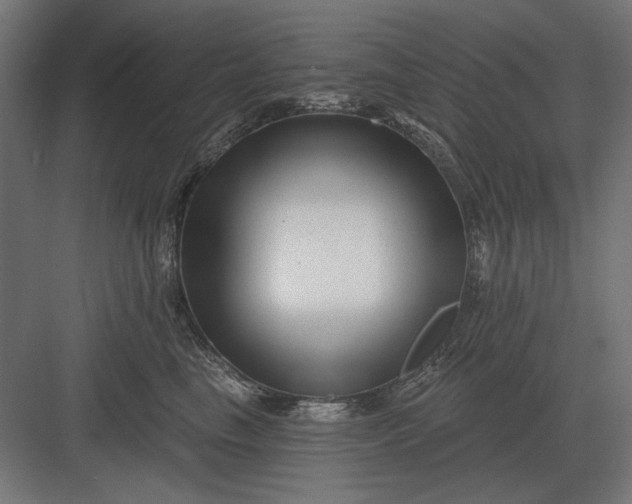 X0000082930665200702152149